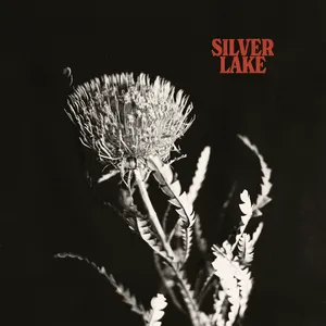 Silver lake